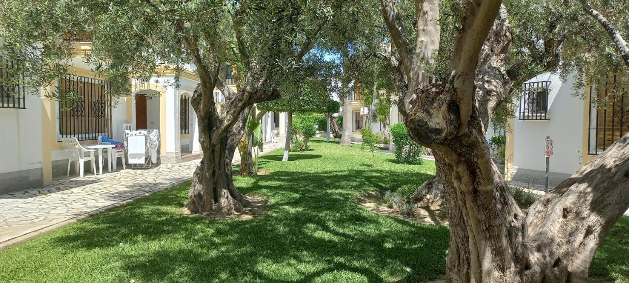 Apartamento Primera Linea De Playa Las Marinas L'Île-Rousse Dış mekan fotoğraf