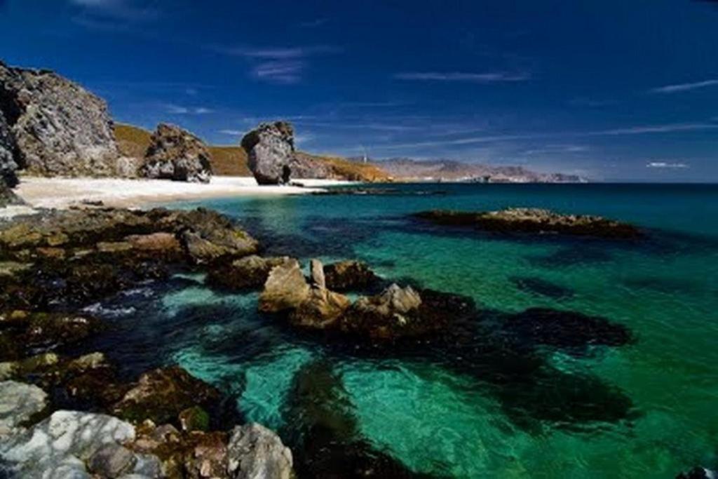 Apartamento Primera Linea De Playa Las Marinas L'Île-Rousse Dış mekan fotoğraf