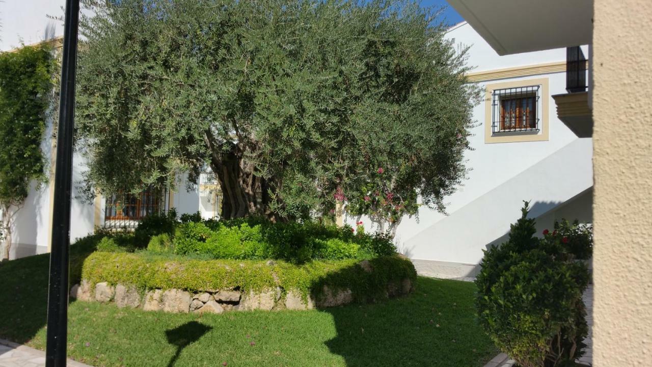 Apartamento Primera Linea De Playa Las Marinas L'Île-Rousse Dış mekan fotoğraf