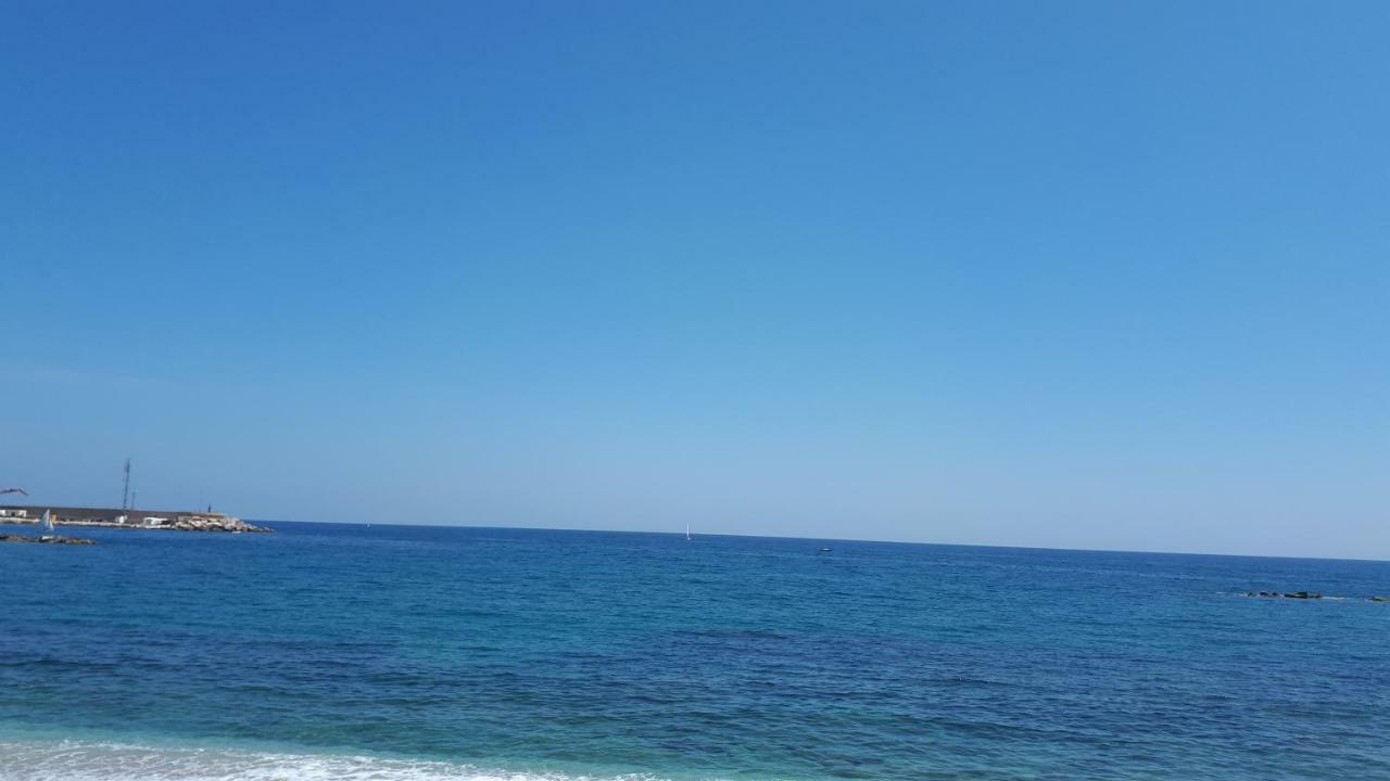 Apartamento Primera Linea De Playa Las Marinas L'Île-Rousse Dış mekan fotoğraf